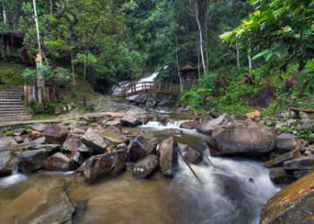 Jejak Karomah dan Perjuangan Mbah Kyai Mangun Harjo Kebuntaman