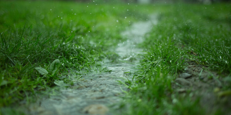 Menghidupkan Syariat dengan Qiyās: Dari Air Beku Menuju Hujan Rahmat