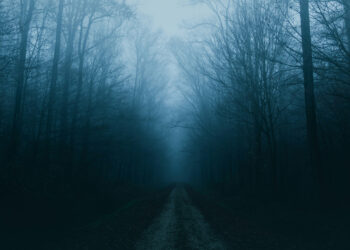 Bahaya Zina dalam Islam