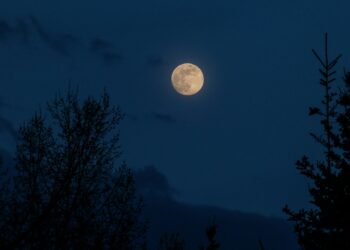 Musibah Hati yang Lalai