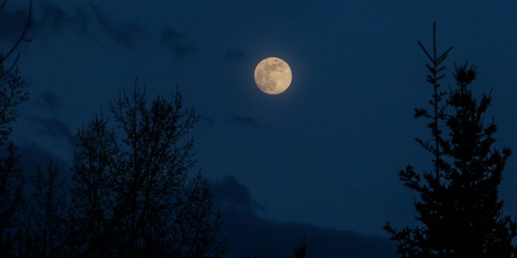 Musibah Hati yang Lalai