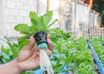 ketahanan ekonomi warga