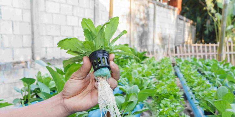 ketahanan ekonomi warga