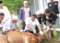 Hikmah Idul Adha dan Pentingnya Sirrul Ikhlas dalam Kehidupan Muslim