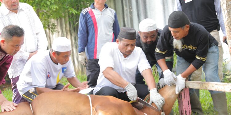Hikmah Idul Adha dan Pentingnya Sirrul Ikhlas dalam Kehidupan Muslim