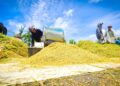 Tengkulak vs Penjual: Hukum Jual Beli Tanpa Harga Pasti