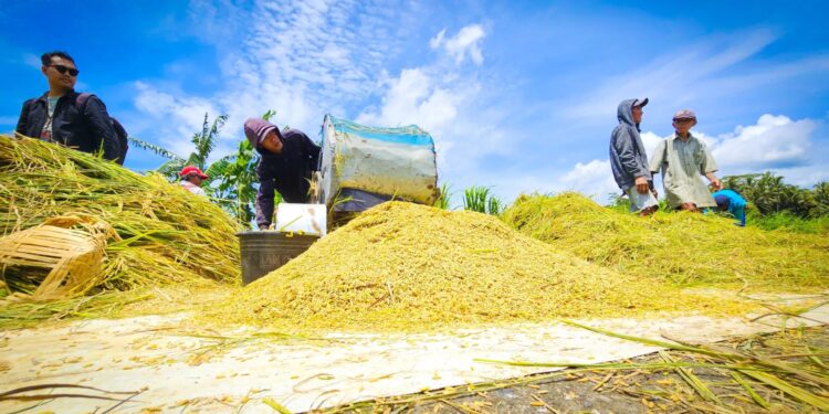Tengkulak vs Penjual: Hukum Jual Beli Tanpa Harga Pasti