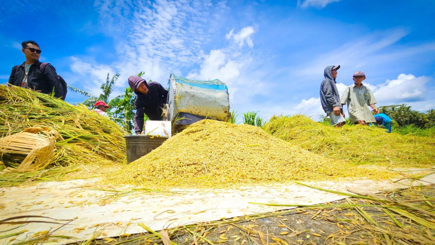 Tengkulak vs Penjual: Hukum Jual Beli Tanpa Harga Pasti
